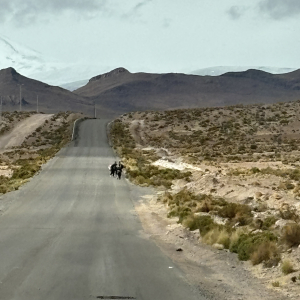 Borders and In/Securities in the New Americas